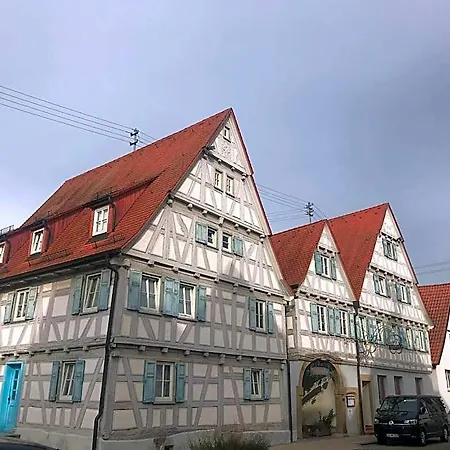 Historikhotel Ochsen Otel 3*