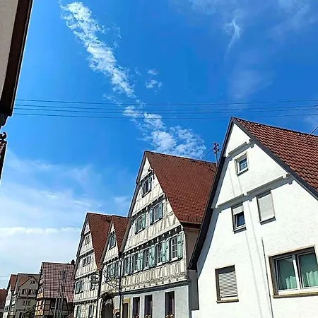 Historikhotel Ochsen Otel 3*