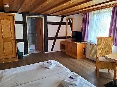 Historikhotel Ochsen Otel 3*